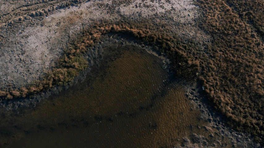 aerial view of an area in the middle of the plains with a plover's habitat