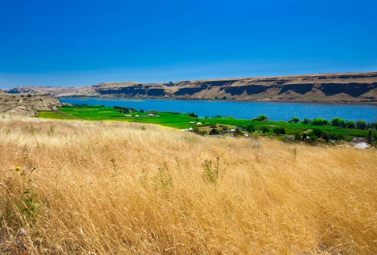 a field in the grass with a body of water in the distance