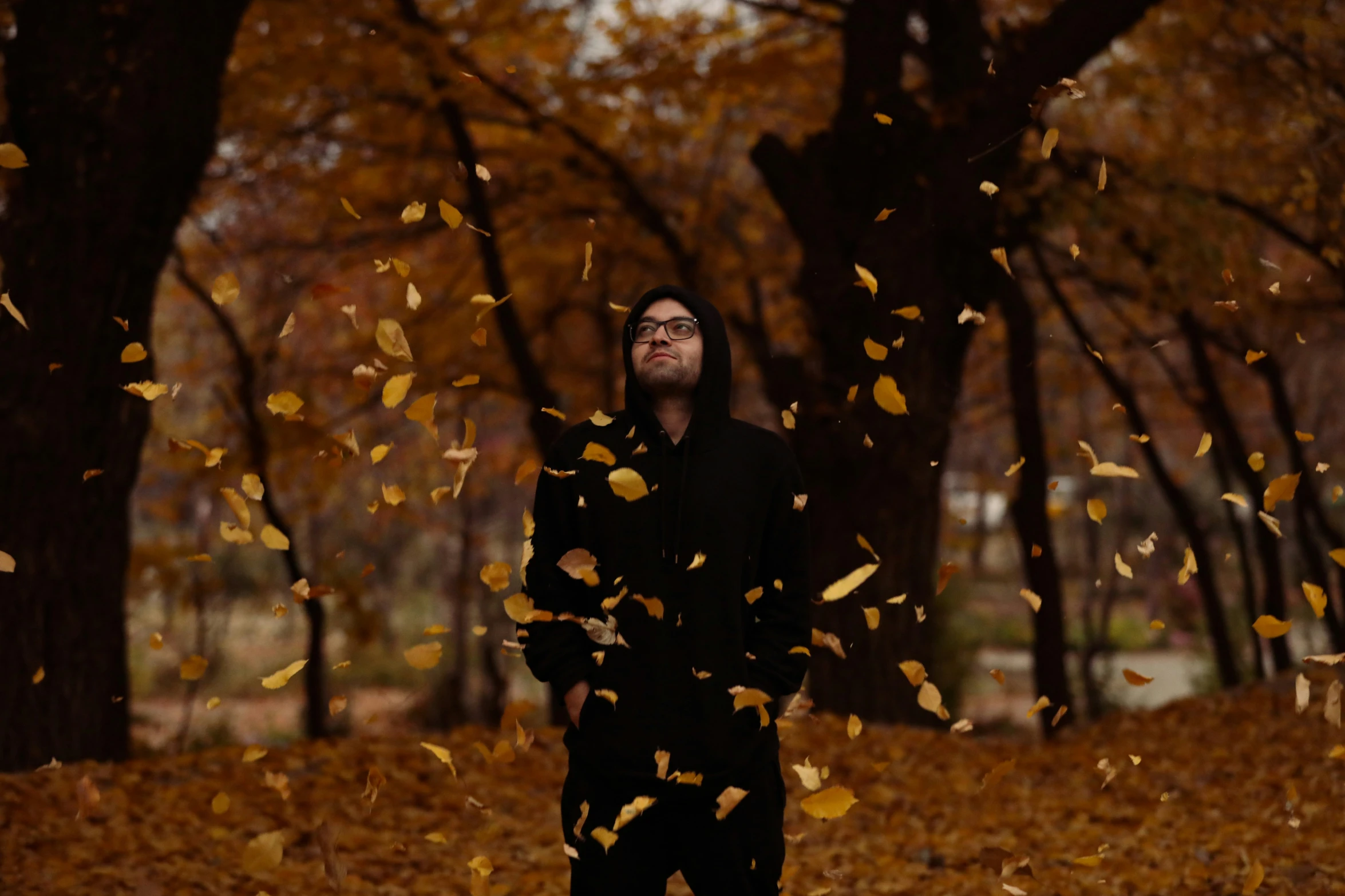 a man who is standing in leaves with trees in the background