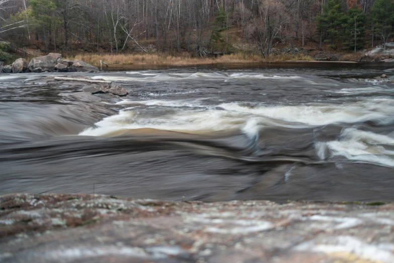 waves roll through the rapids near the woods