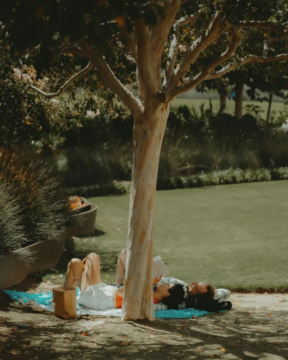 the people are laying in the shade by the tree