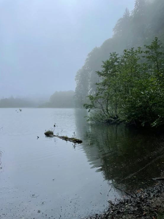 a misty lake with birds flying in the water