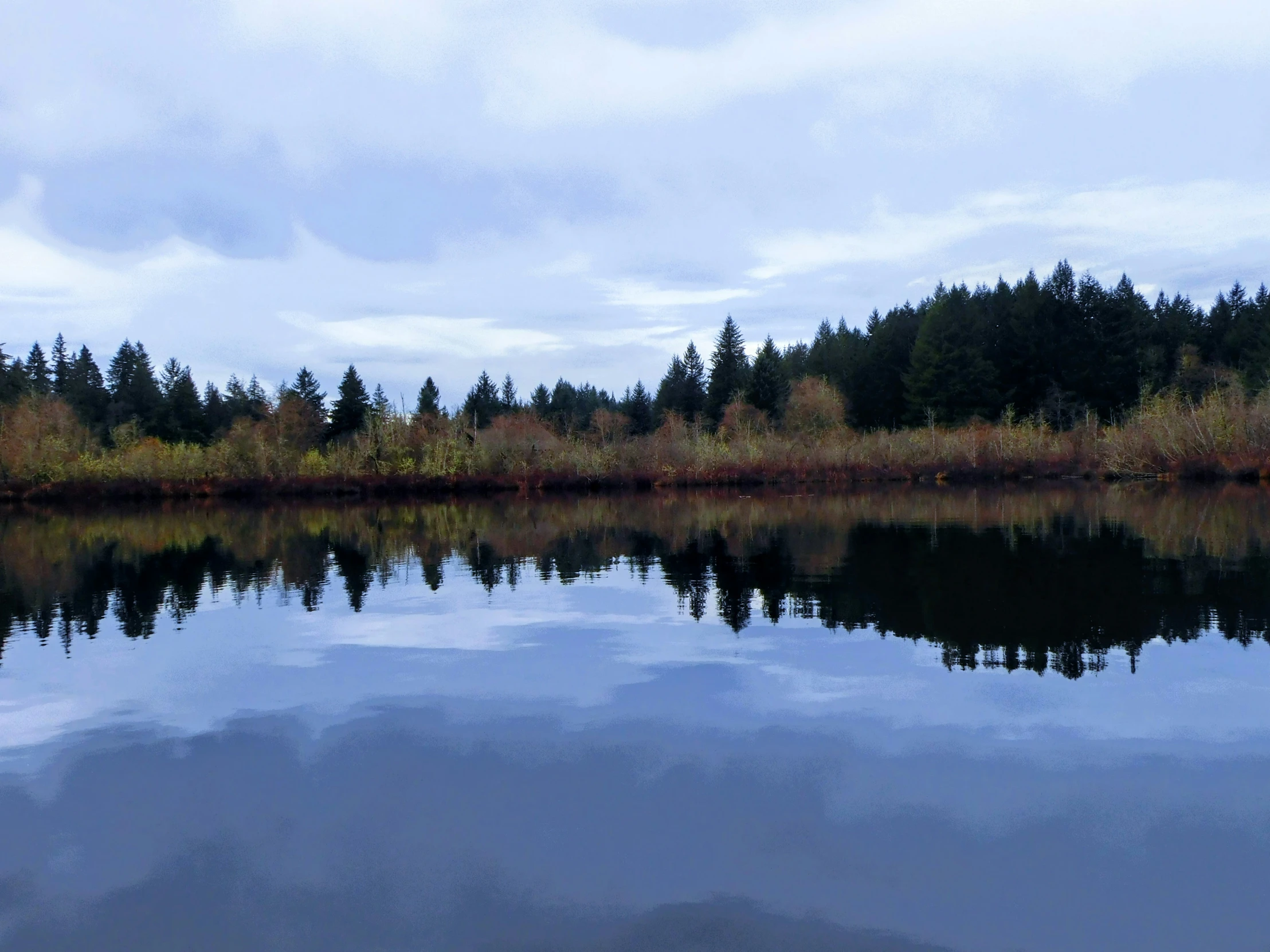 a view of an area that has water, trees and clouds