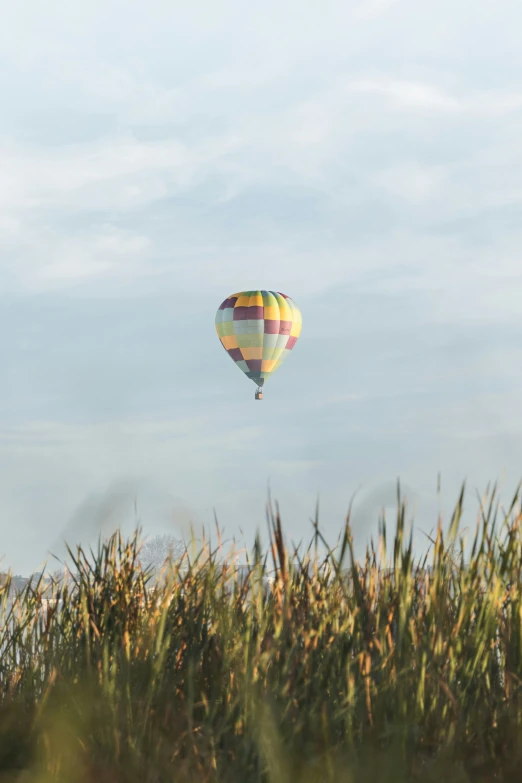 two balloons are in the sky above a grassy field