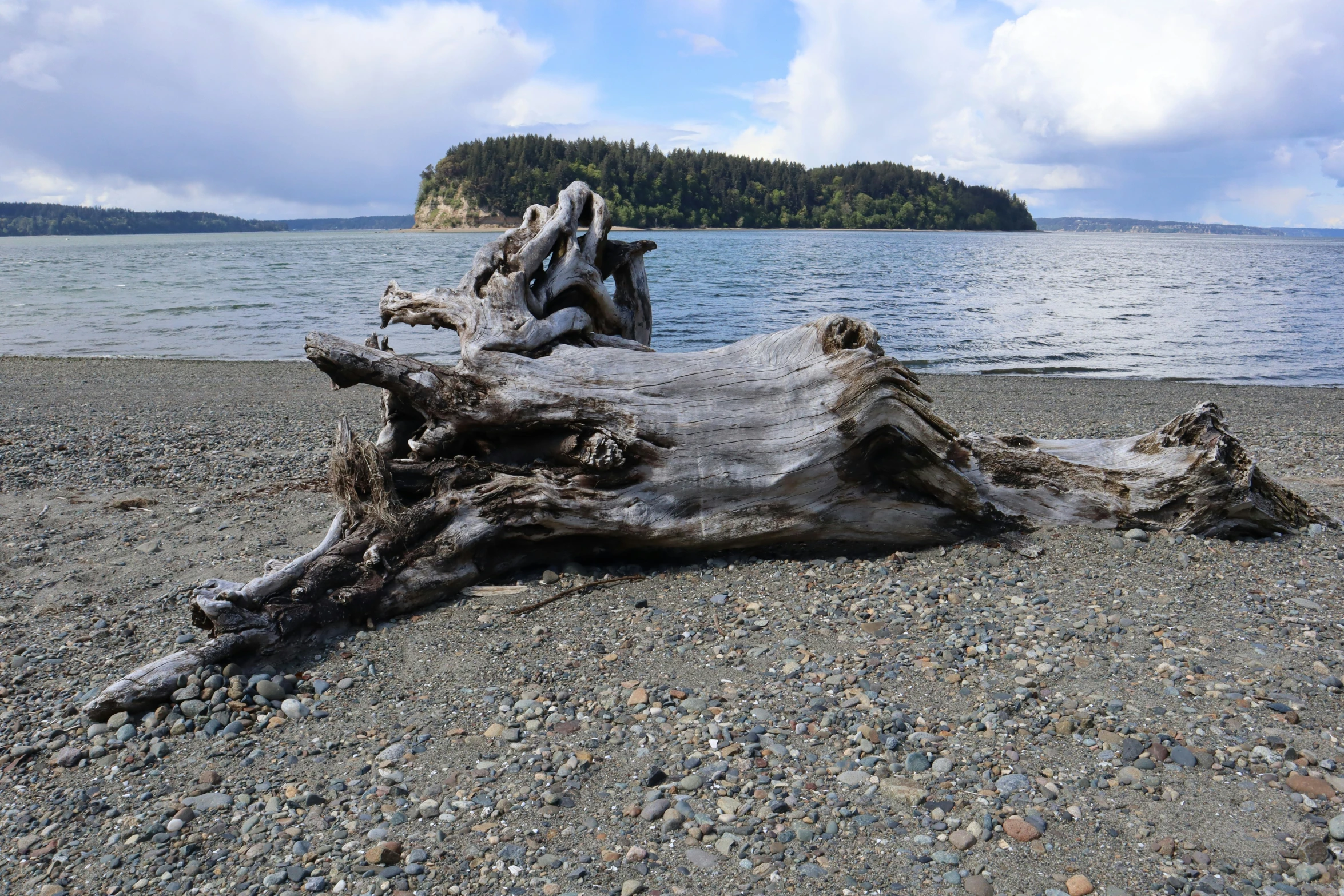 a log is sitting on the beach near the water