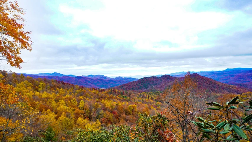 view from top of hill overlooking forested area