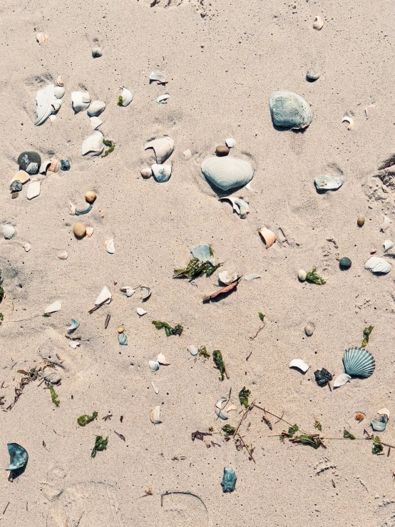 a sandy beach with rocks and water beads on it