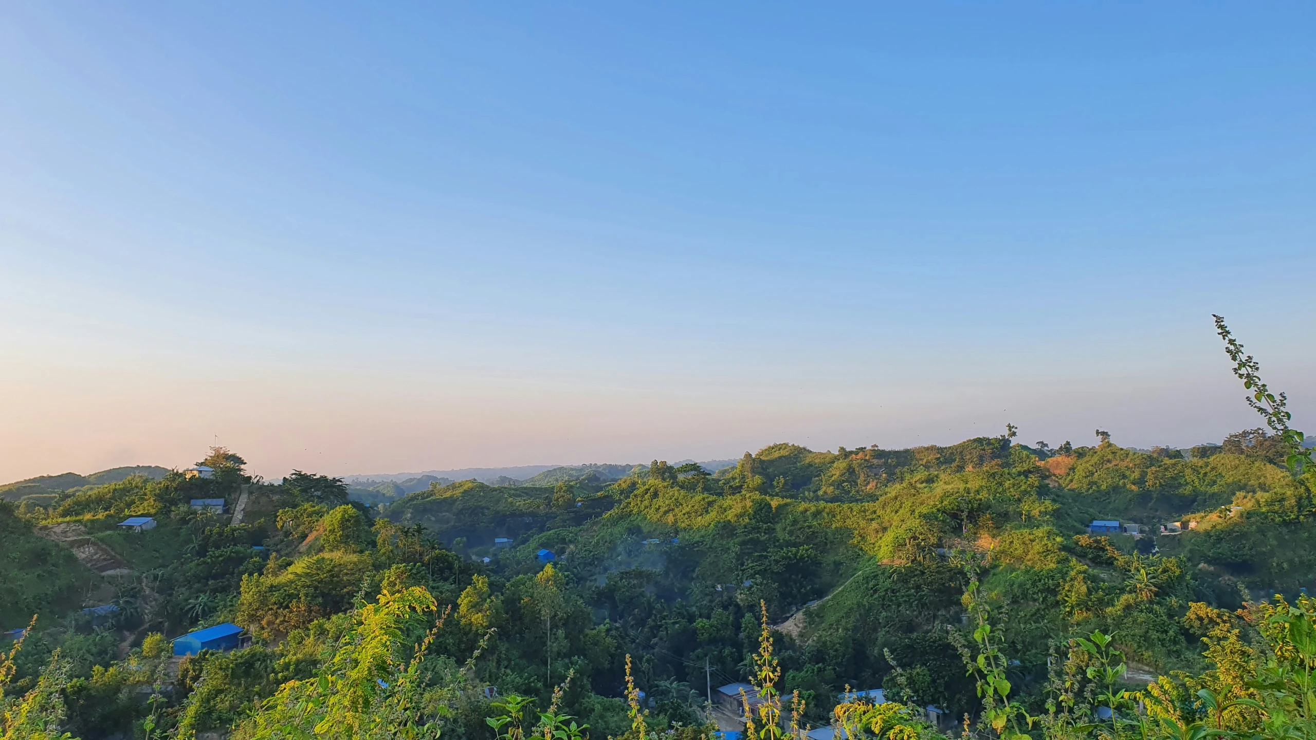 a po of a hill side in the afternoon