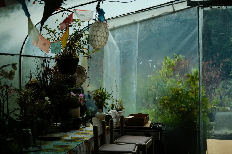 a green house with flowers in it and hanging baskets