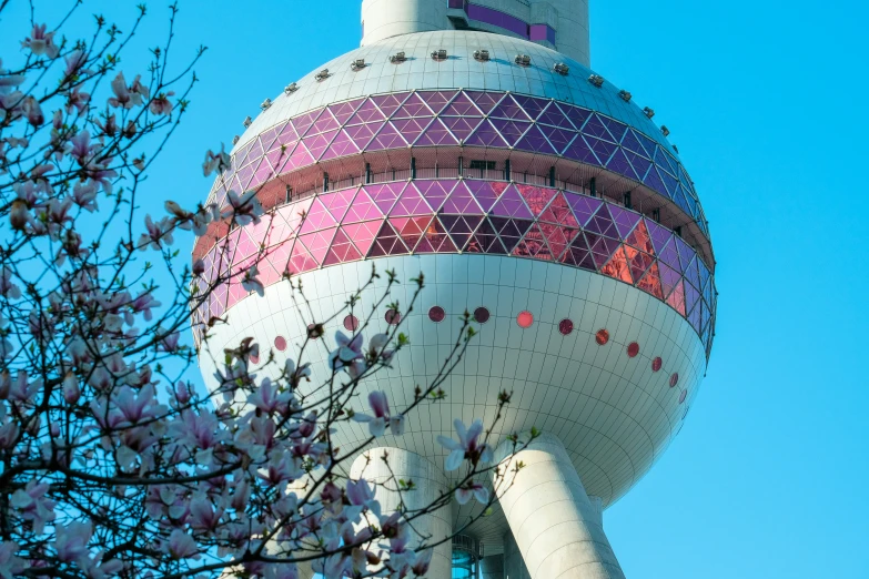 a tower with a clock next to a tree with pink and white flowers