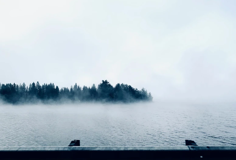 the sea is covered with mist near trees