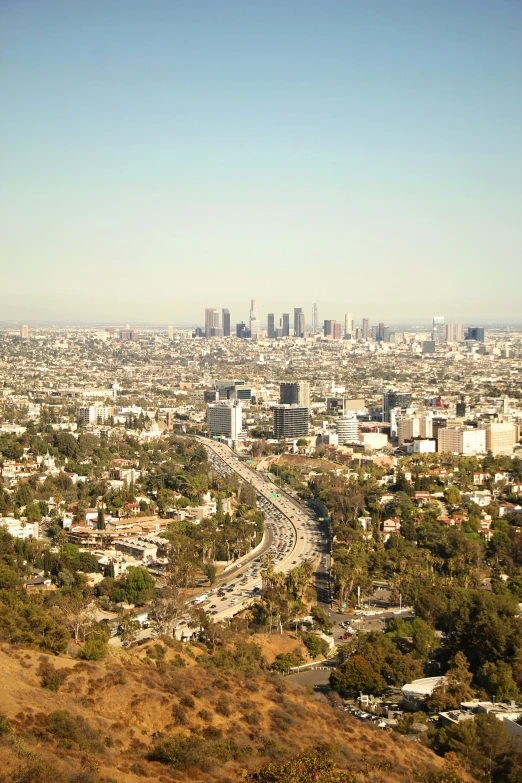 a large city with lots of tall buildings