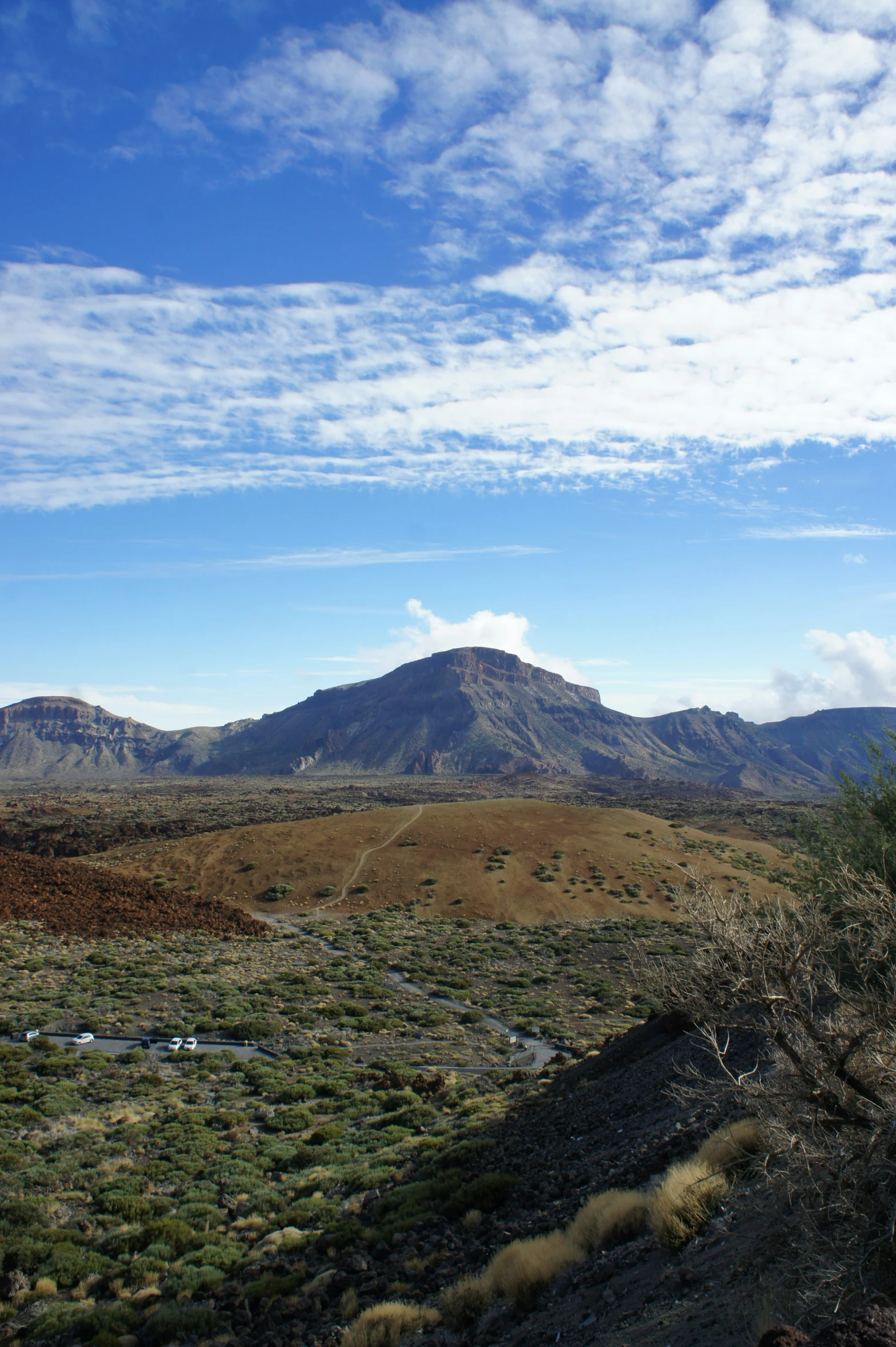 an open plain with mountains, plants and a small stream in the middle