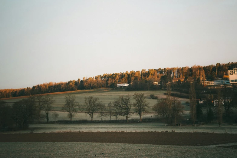 a lush green hillside with a lone tree