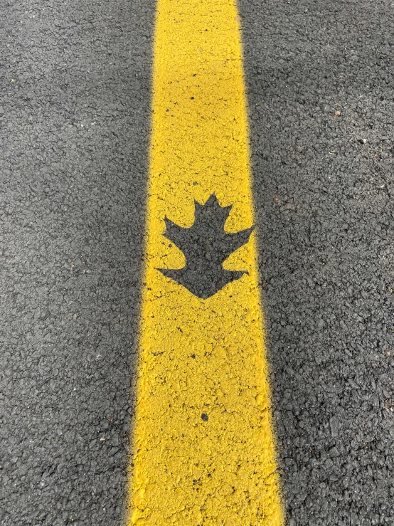 an asphalt road with a yellow and white line and leaf