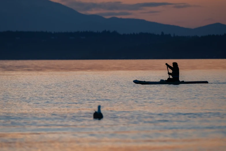 an image of a person in a kayak