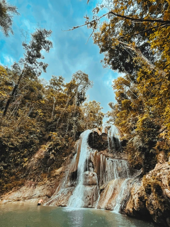 water fall with trees surrounding it during a sunny day