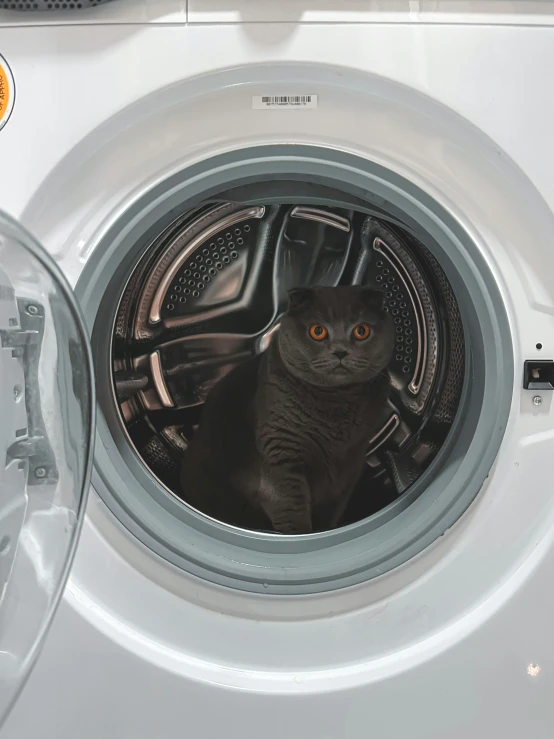 a cat is sitting in the washing machine