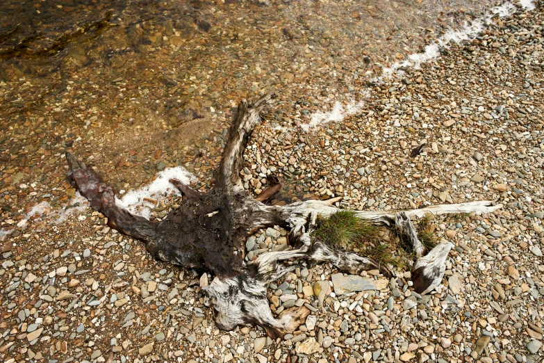 an old piece of broken glass sitting on a beach