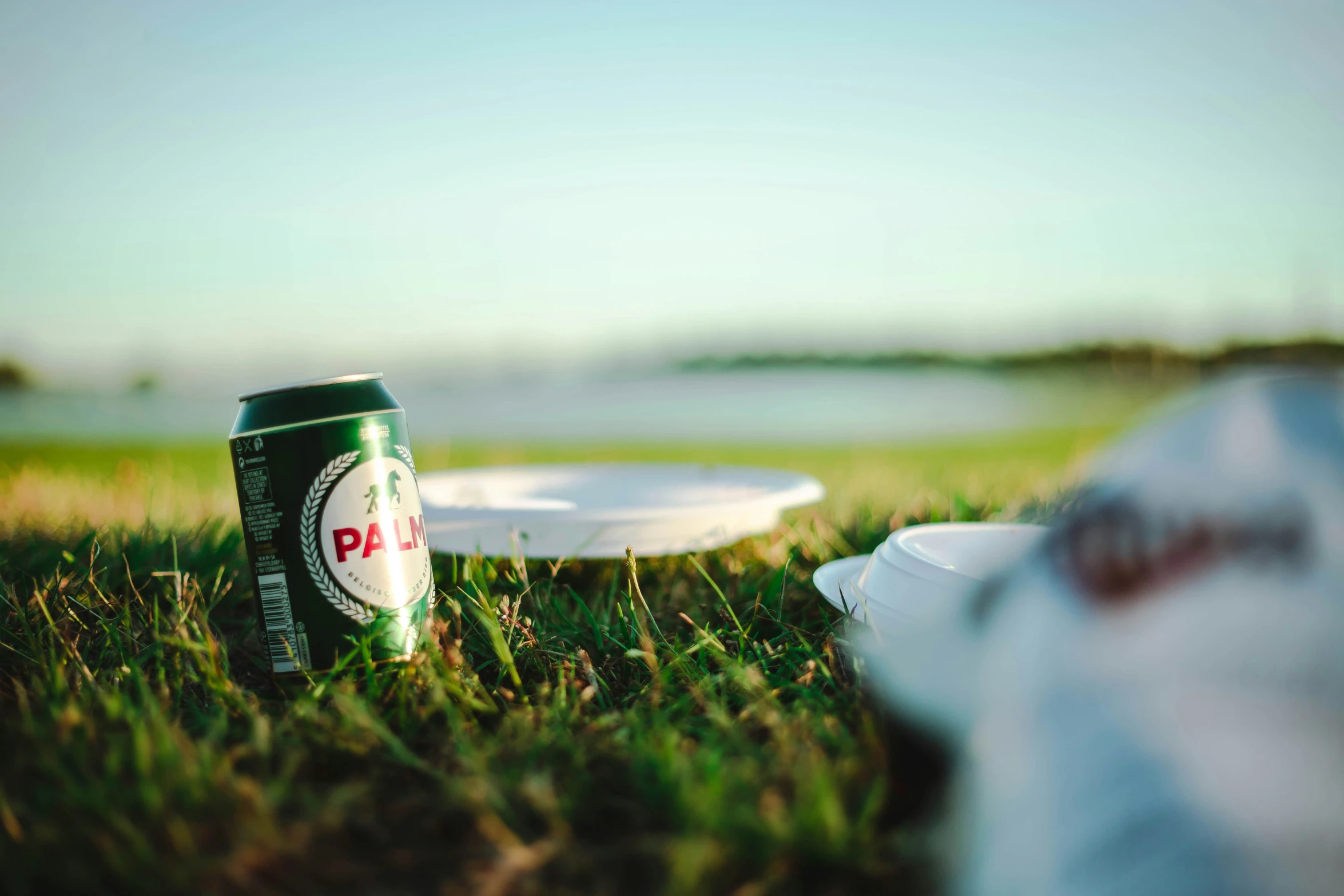 an empty can and frisbee sitting on grass