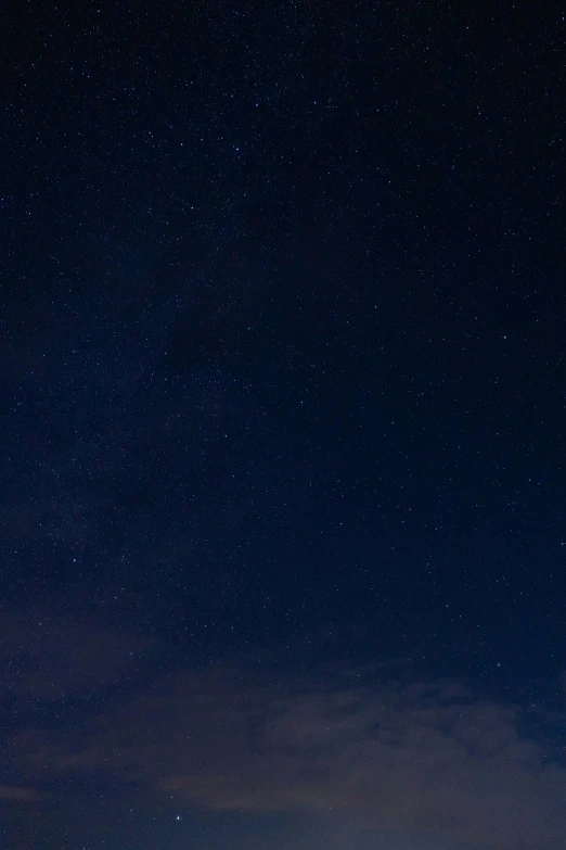 the stars above the trees are seen during the night