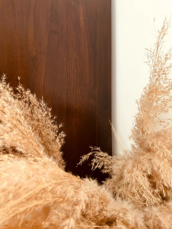 some dried grass is in front of a wooden wall