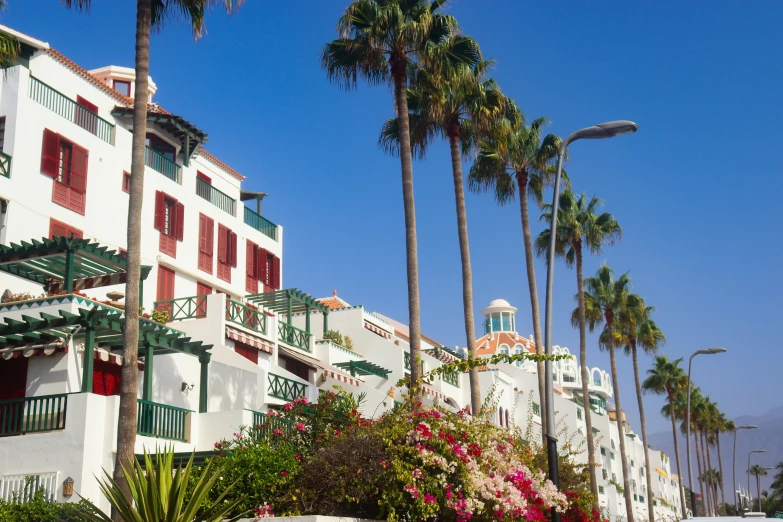 many palm trees line the streets outside of buildings