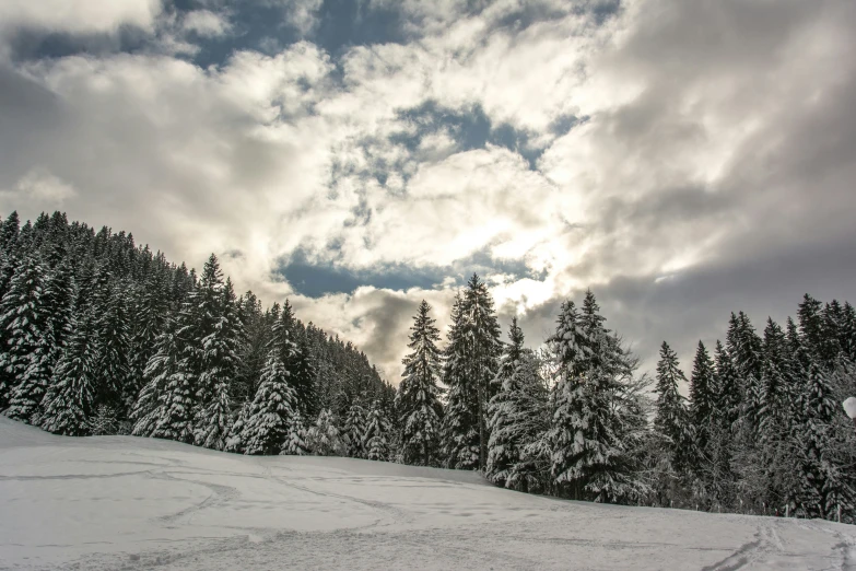 the sky is partly cloudy and the snow has almost covered it