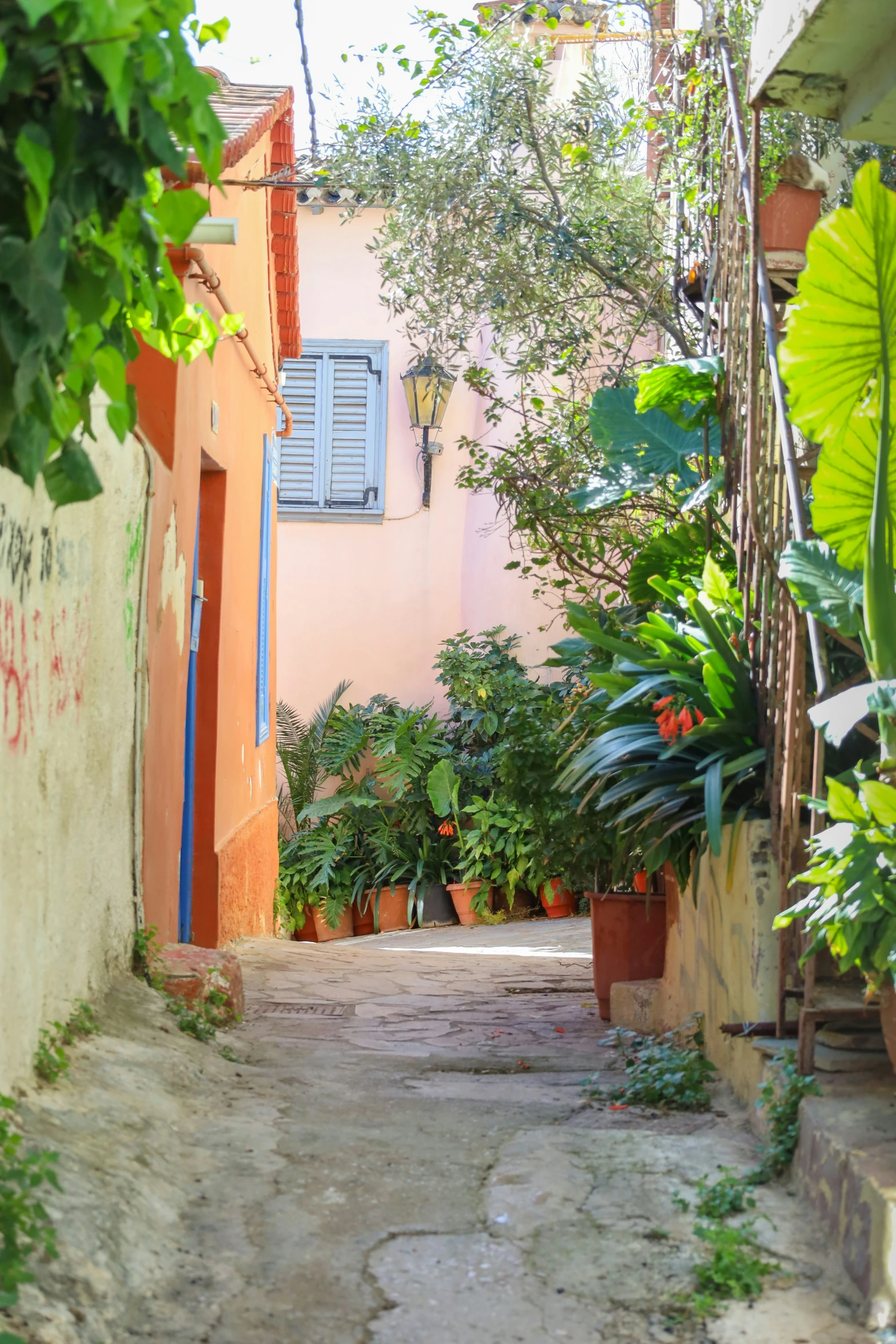 an old house has a number of plants and flowers on the front