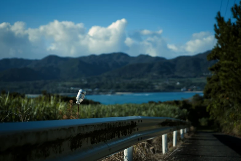 a bird on the road overlooking an ocean and mountains