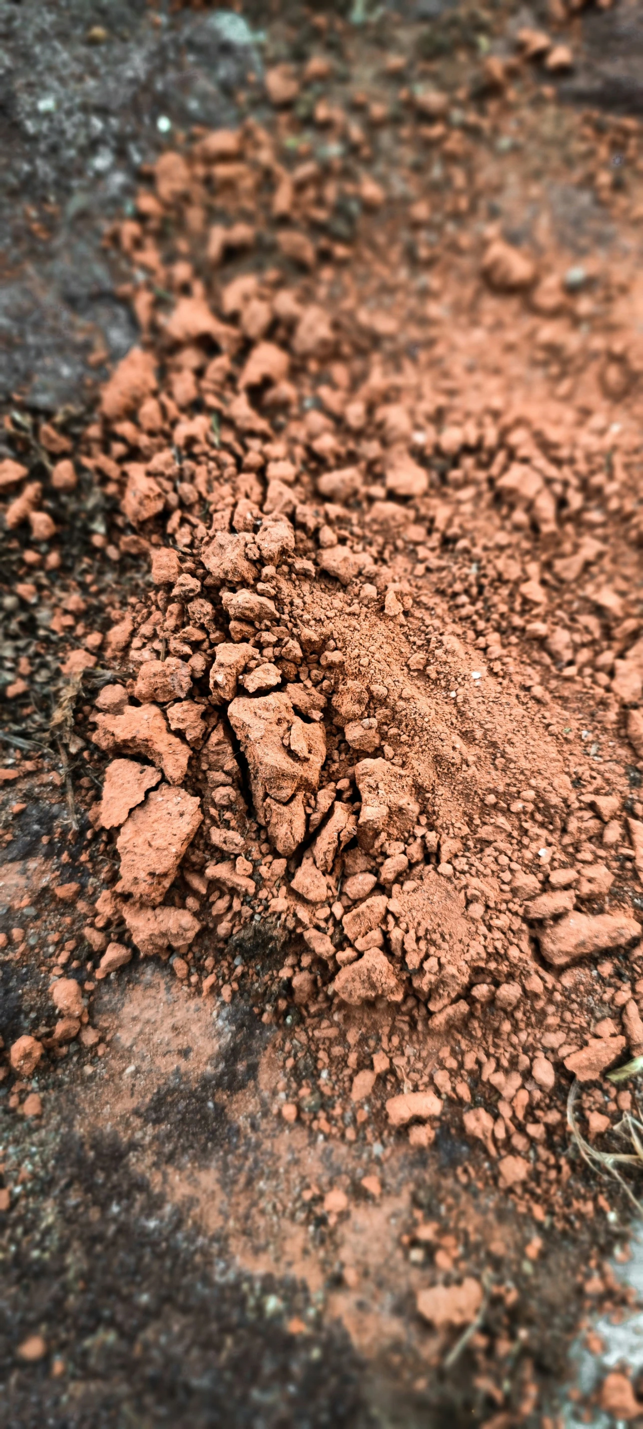 dirt on top of some rocks in a field