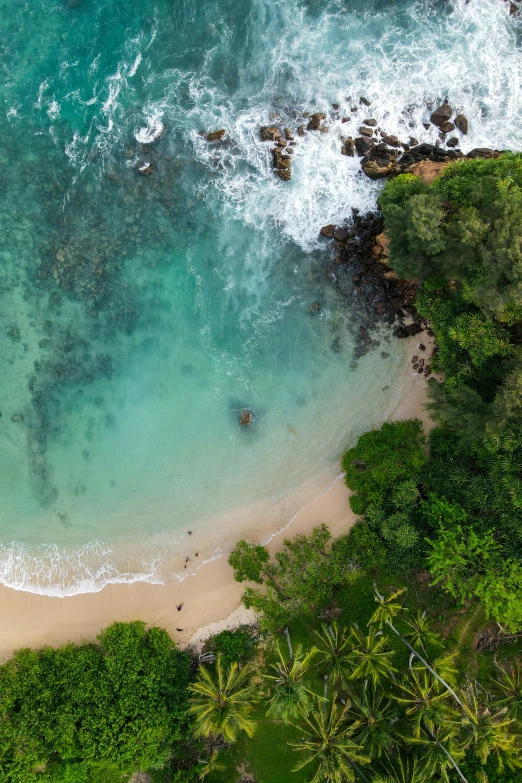 a bird's eye view of a beach with green vegetation and clear blue water