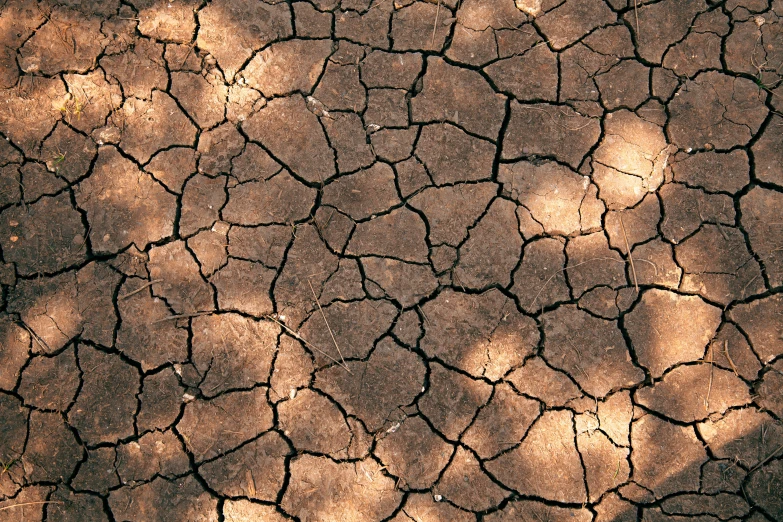 a ed surface of earth and some grass