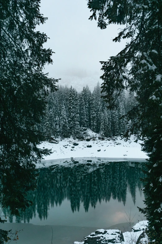 a lake in the middle of snowy forest