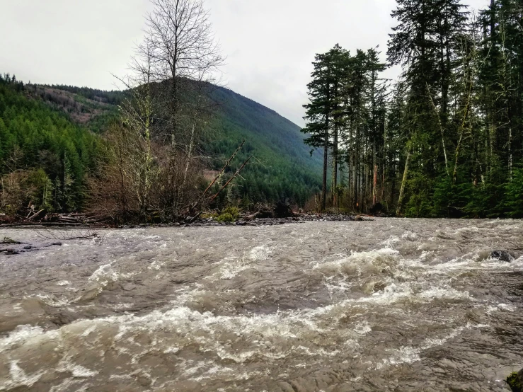 a river flowing in between some trees and rocks