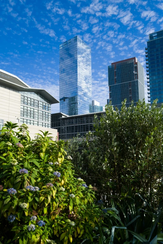 some buildings and trees are near some blue sky