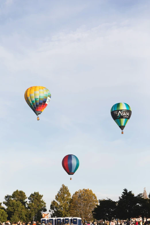 there are three balloons flying in the sky