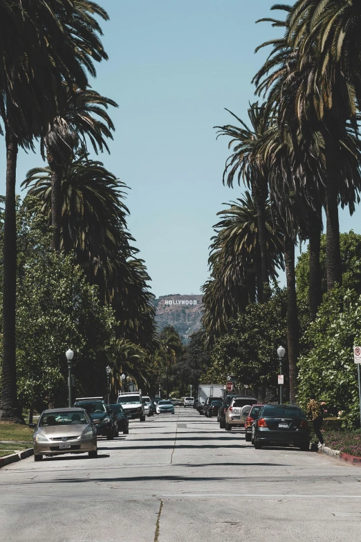 there are cars and a bus on this street