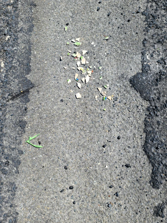 a piece of green plants on the ground