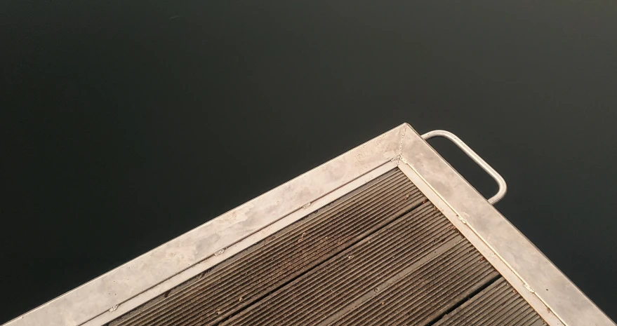 a bird sitting on top of a metal fence near water