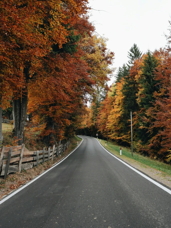autumn is here and here's a long road