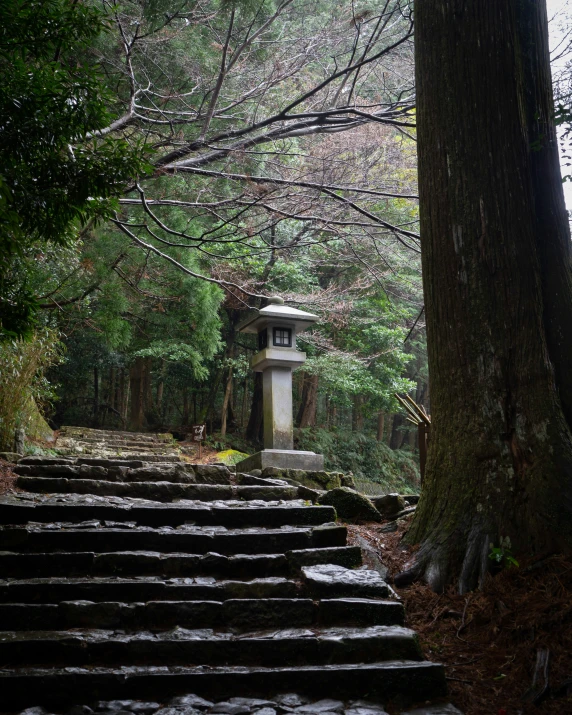 steps lead to a pavilion in the woods