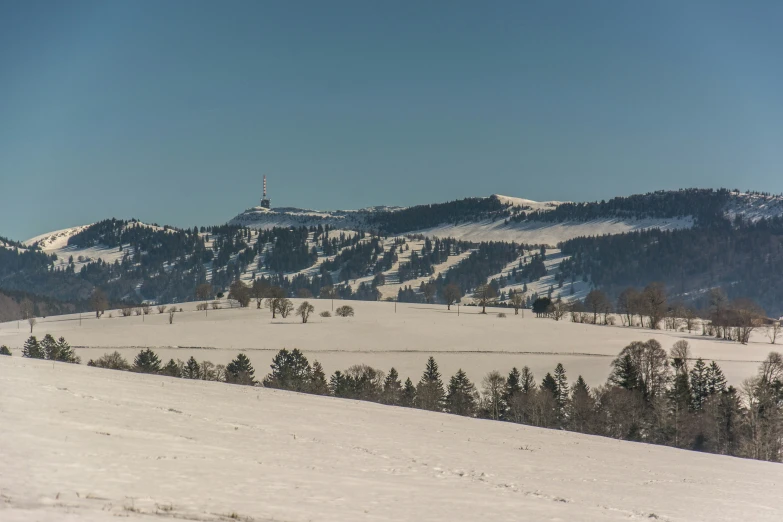 a snowy hillside with a sky line in the background