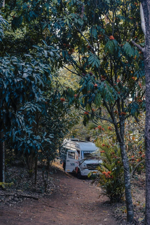 a camper van parked on a path through the woods