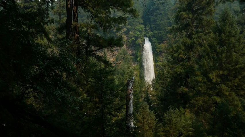 a waterfall flowing into a lush green forest