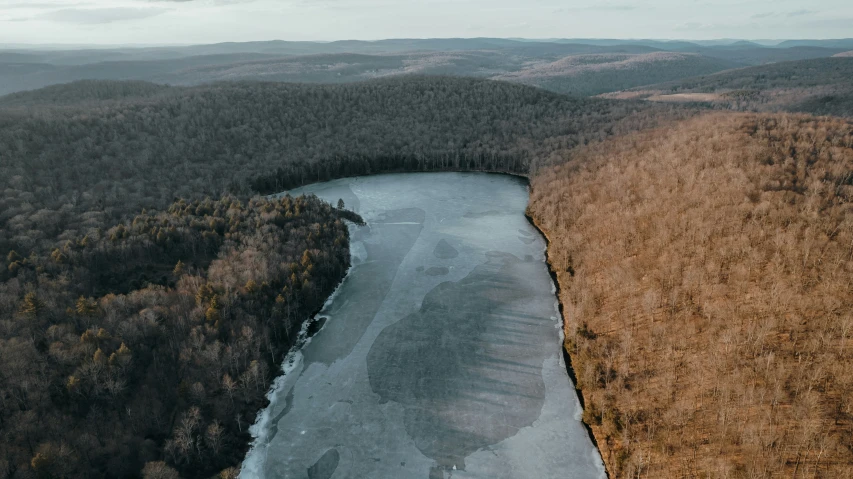 a view from above, of trees and a river