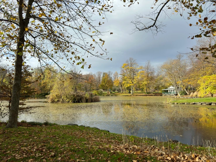 a small pond in the middle of a park