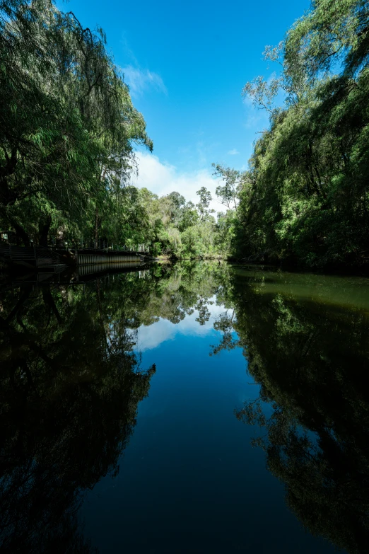 the trees are reflected in the calm water