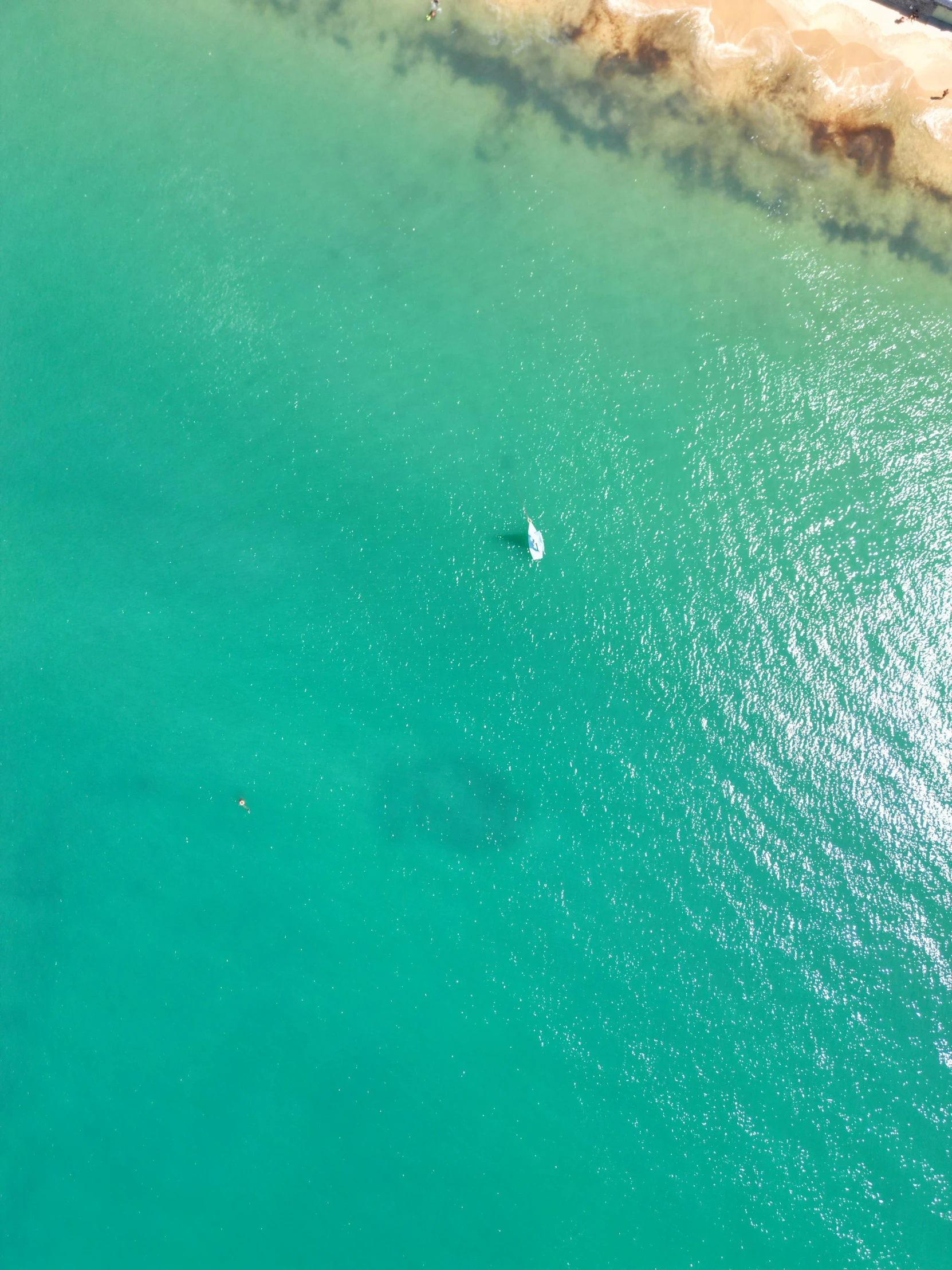 a bird's eye view of a beach with waves