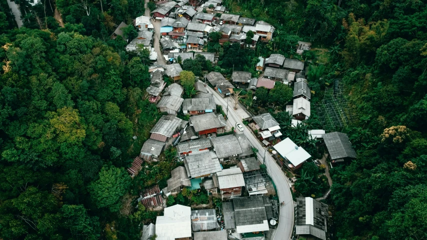 a village nestled in the forest is seen from a helicopter